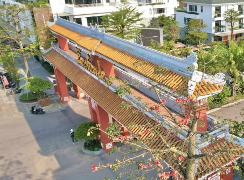 Hoa Gạo nở sớm bên cổng Quốc học